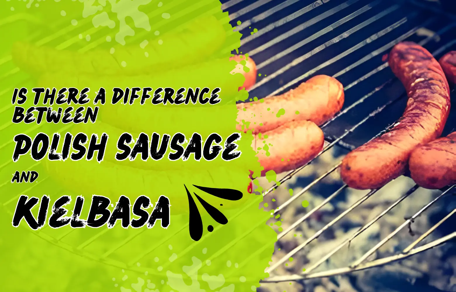 Is there a difference between Polish sausage and kielbasa? 1 Is there a difference between Polish sausage and kielbasa