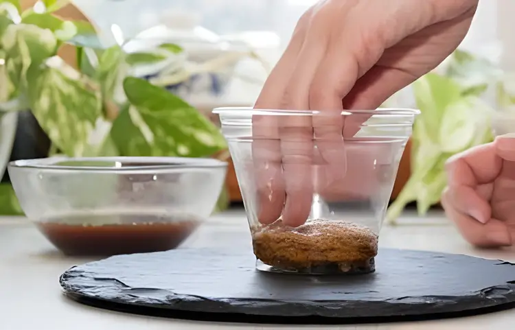 Chocolate Tiramisu Recipe | Decadent & Easy 3 easy chocolate tiramisu