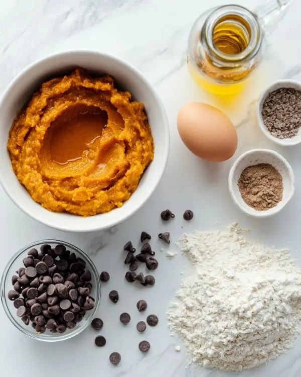 Best Chocolate Chip Pumpkin Bread 2 Pumpkin Chocolate Chip Bread Moist ingredients