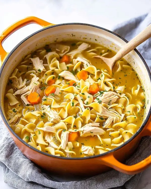 Dutch Oven Chicken Noodle Soup recipe