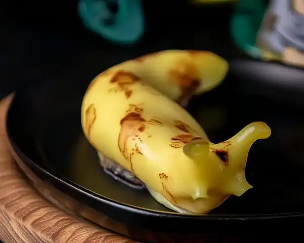 Banana Slug Dessert 3 Wybie's banana slugs