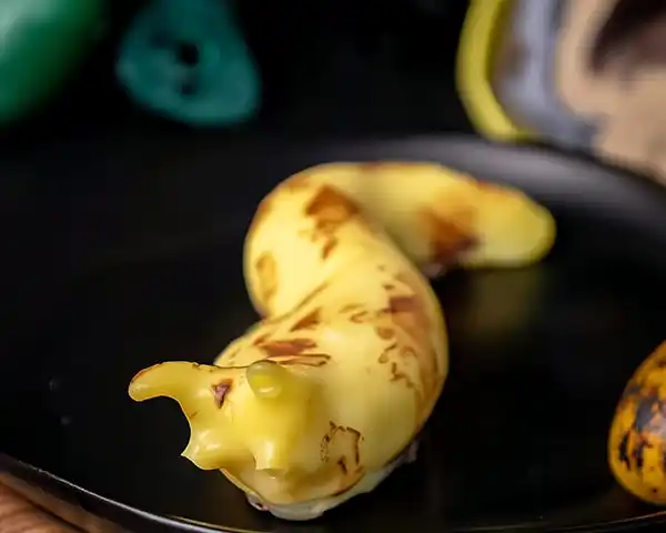 Banana Slug Dessert 2 banana slugs