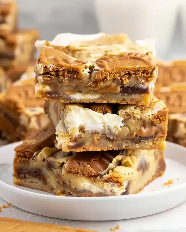 Biscoff Blondies 2 Biscoff Cookie Recipe