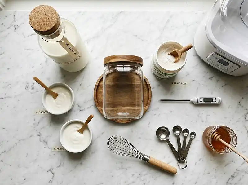 SIBO Yogurt Recipe 3 sibo yogurt recipe Ingredients